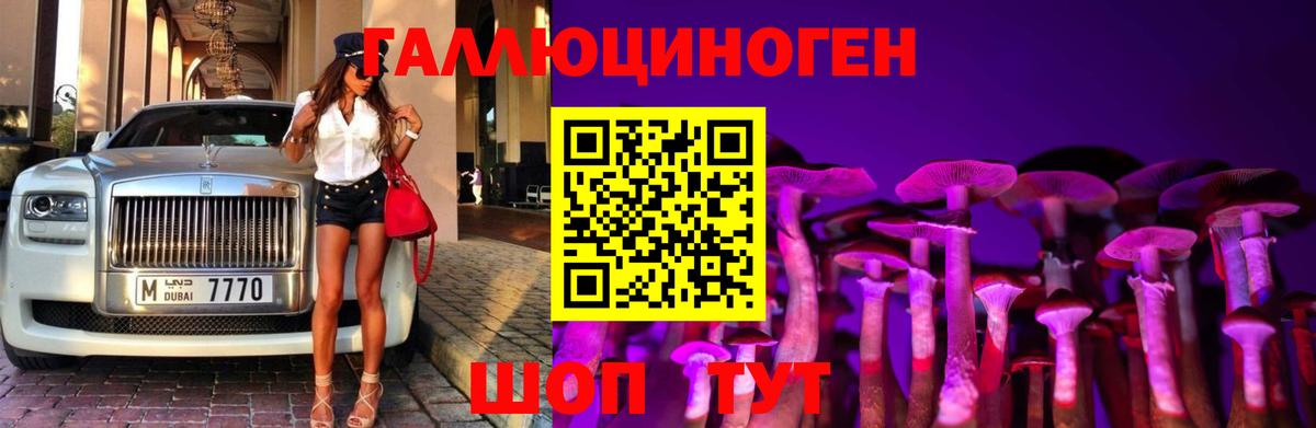 Псилоцибиновые грибы Magic Shrooms  магазин  наркотиков  Новосибирск  Вход с VPN 