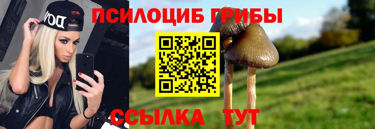 Псилоцибиновые грибы Cubensis Новосибирск